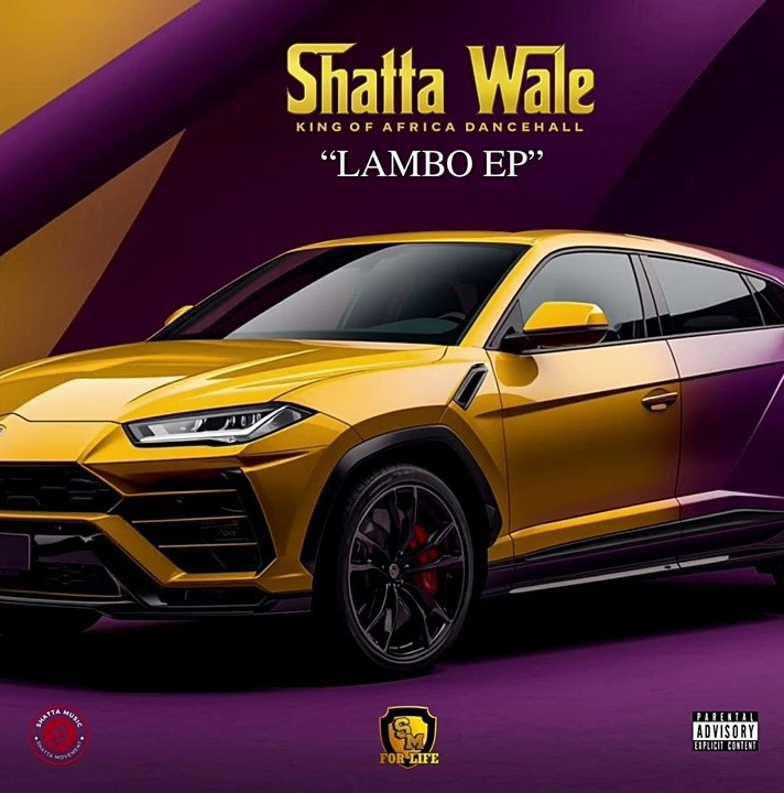 Shatta Wale – Are You Sure
