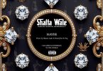 Shatta Wale – Auto Pilot