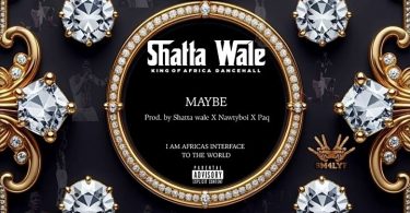 Shatta Wale – Auto Pilot