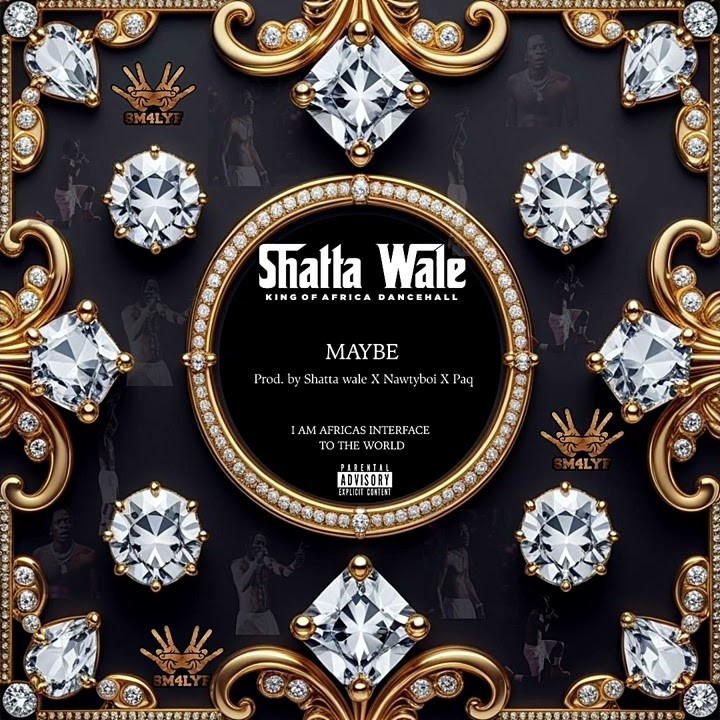 Shatta Wale – Auto Pilot